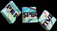 3 Dimensional triptych